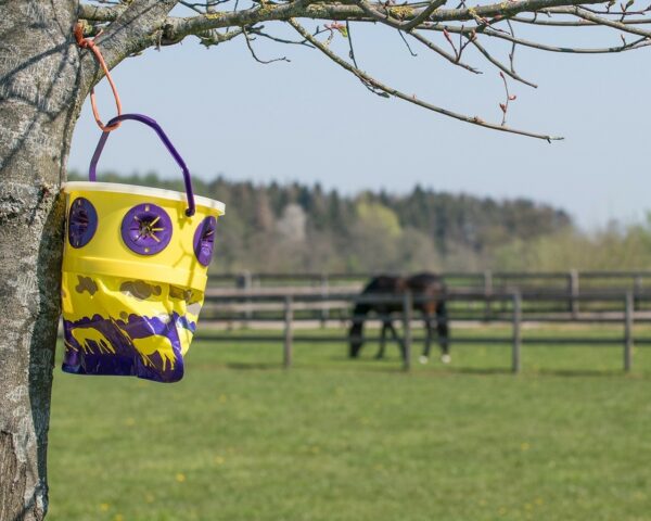Fly Trap Yellow - Afbeelding 2