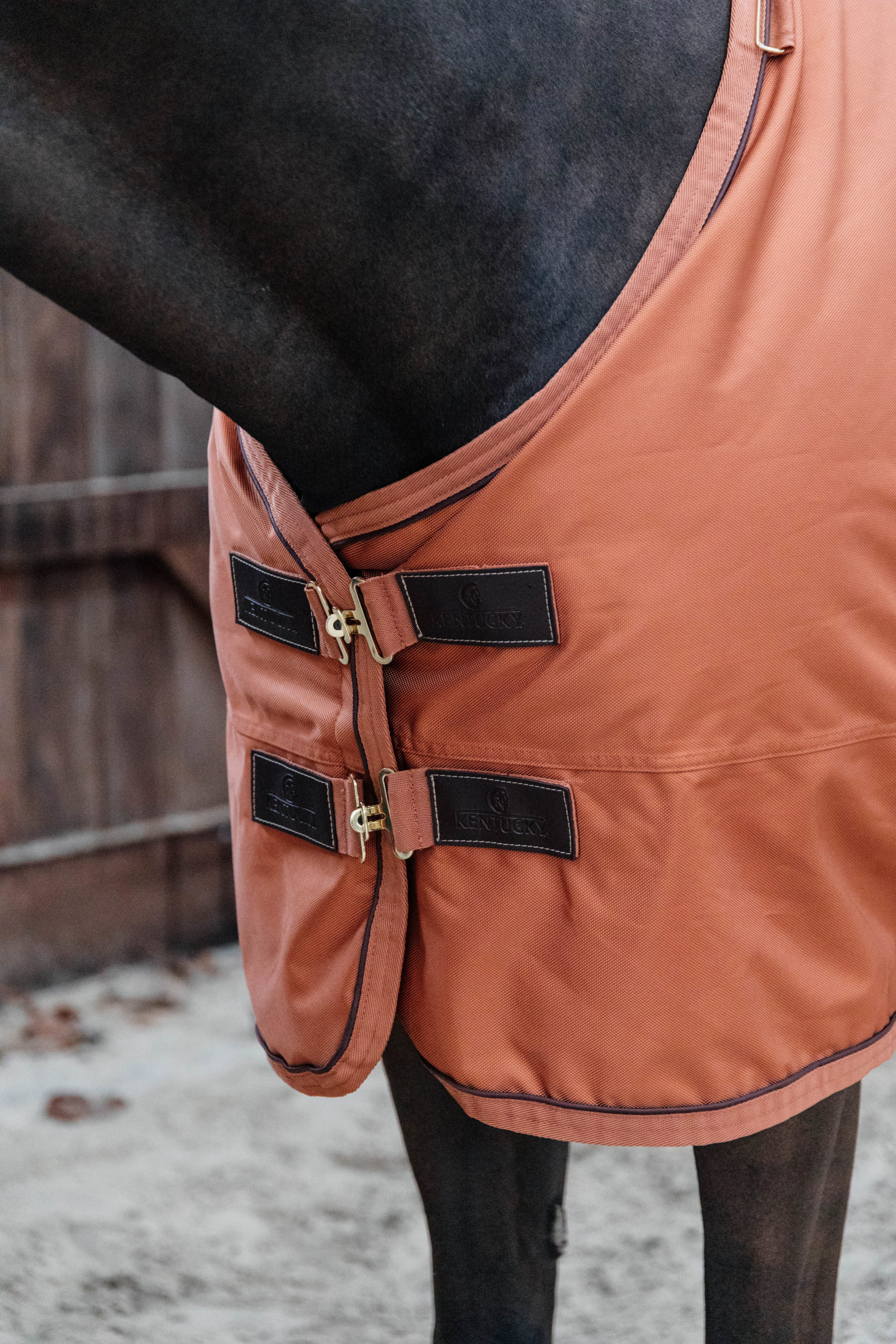 kentucky-horsewear-oranje-outdoor-front-scaled-1.jpg
