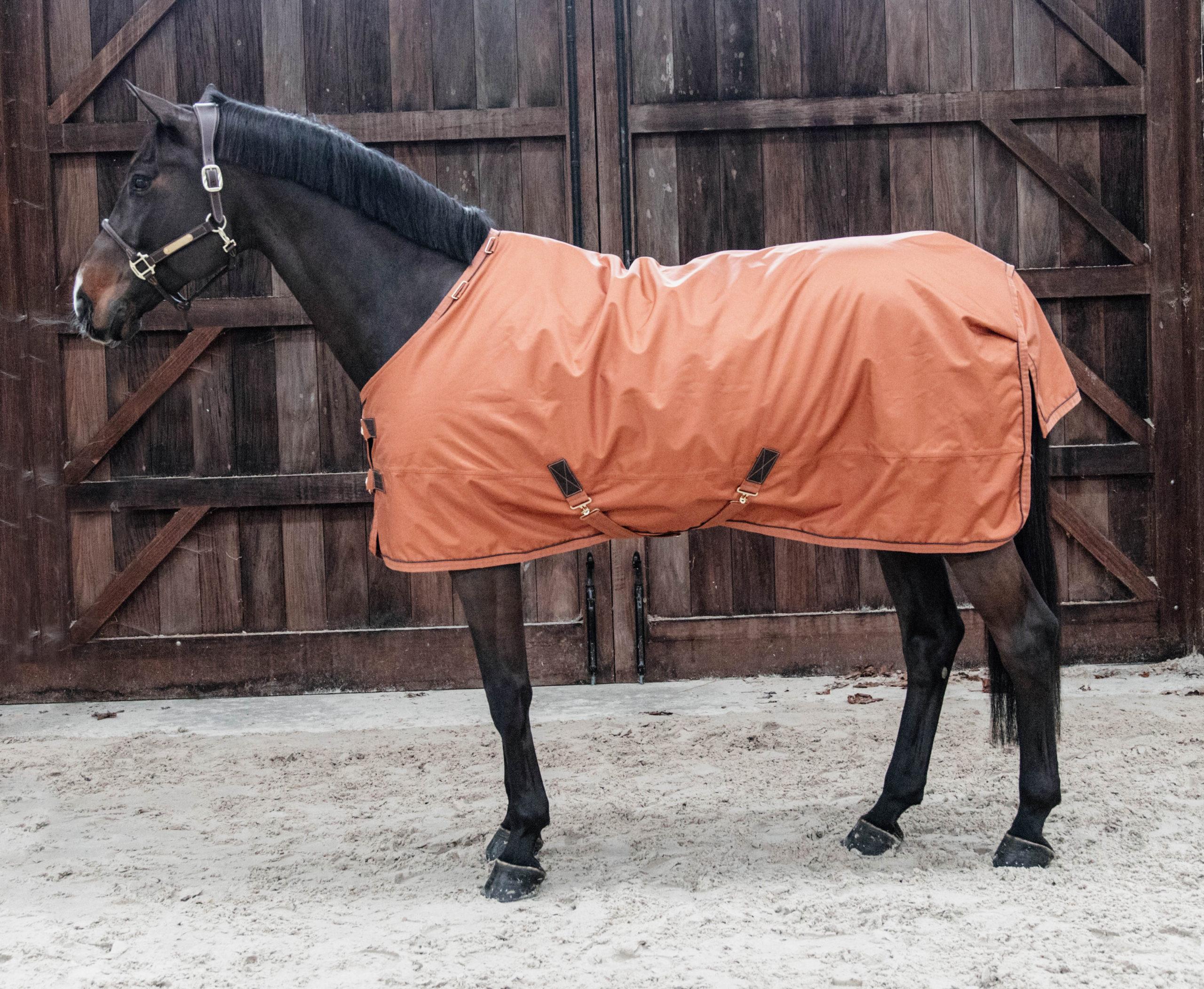 kentucky-horsewear-oranje-outdoor-scaled-1.jpg
