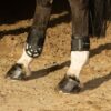 Compositi Protech Beschermers Rear - Afbeelding 2