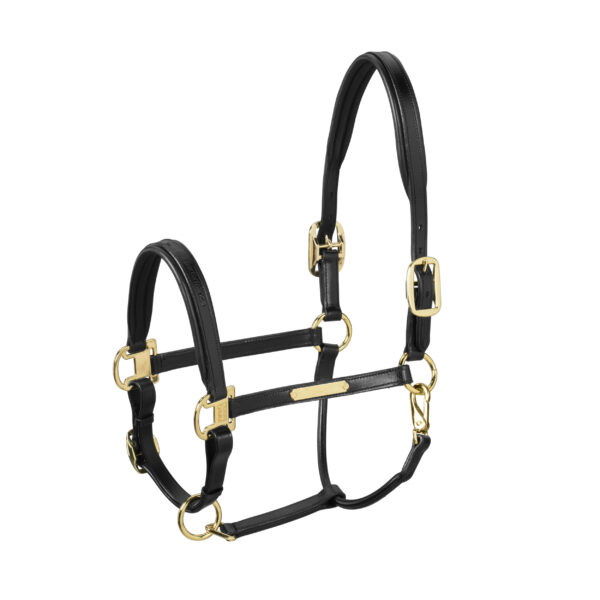 Eskadron Headcollor Leather Elegance Gold Buckle