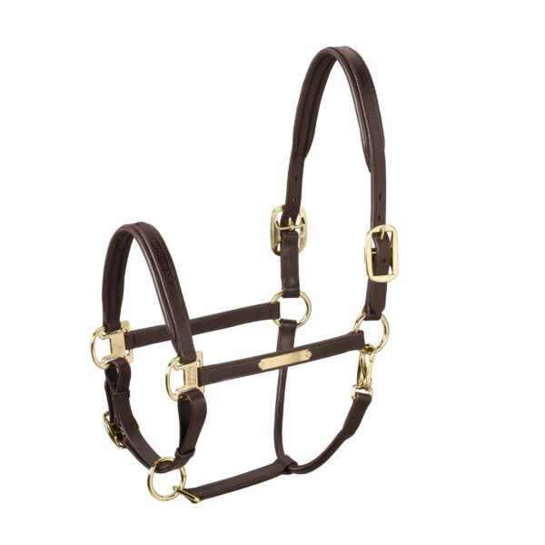 Eskadron Headcollor Leather Elegance Gold Buckle - Afbeelding 2