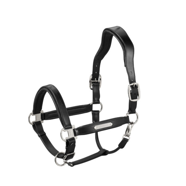 Eskadron Headcollor Leather Stallion