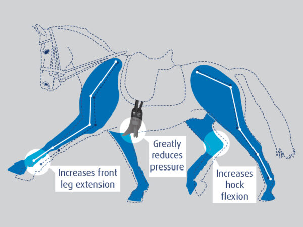 ProLite Grith Narrow - Afbeelding 3