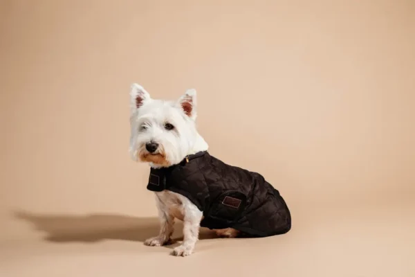 Kentucky Dogwear Original - Afbeelding 4