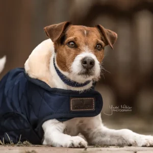 Kentucky Dogwear Original