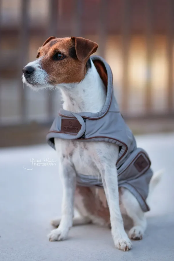 Kentucky Dogwear reflecterend & waterbestendig