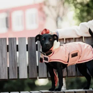 Kentucky Dogwear Coat Waterproof 160G