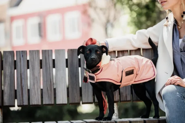 Kentucky Dogwear Coat Waterproof 160G