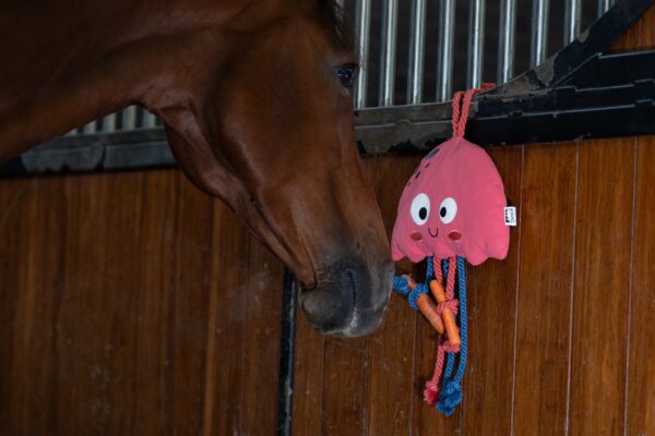 Eskadron Horse Toy JellyFish