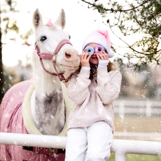 candy horse christmas donuts