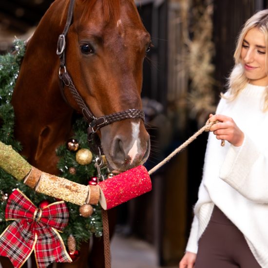 candy horse wooden toy reindeer