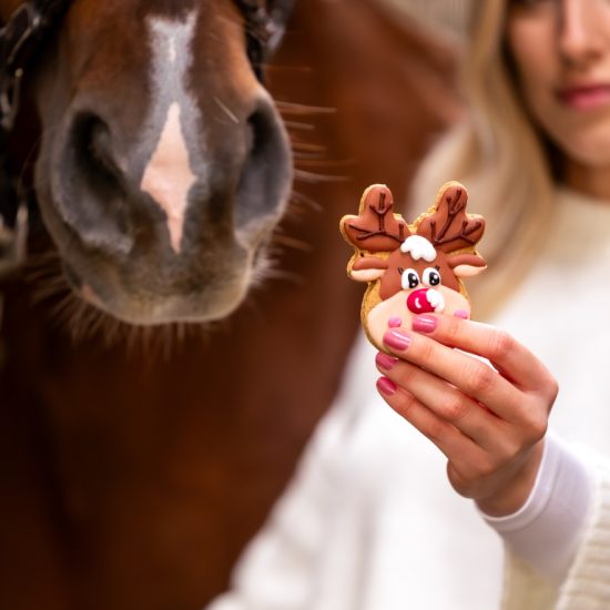 christmas cookie candy horse reindeer