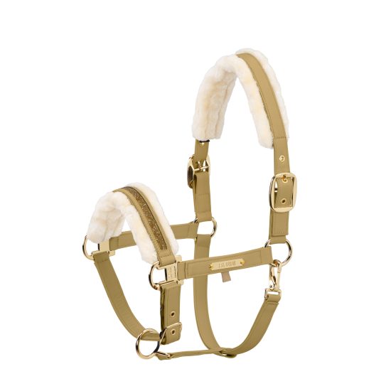 esk_420858_837_160_f_JPEG Lowres extern von Master