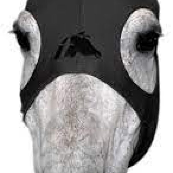 fenwick_mask_no_ears_black