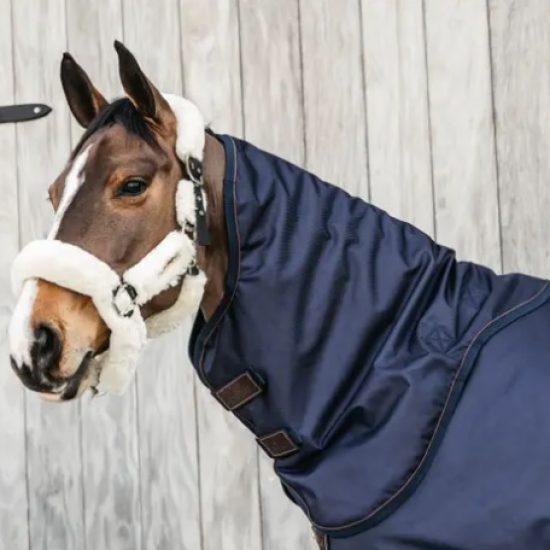 kentucky horsewear neck all weather 0 gram