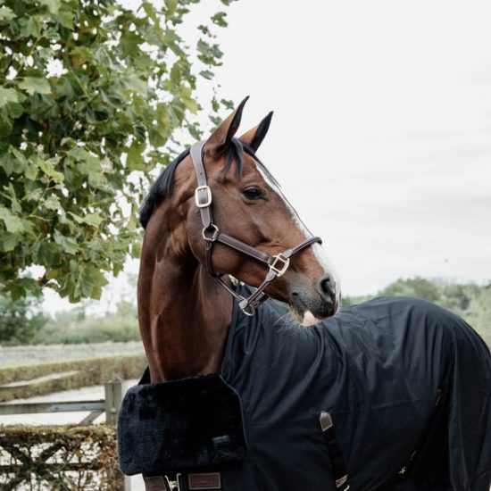 kentucky-horsewear-rug-accessories-horse-bib-chest-protection-black-a929523bbdd099ba1a676b6771a9e673-article-photobook-m.jpg