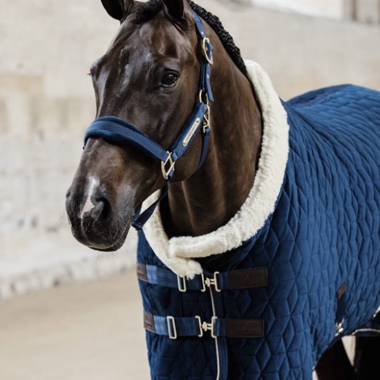 kentucky-horsewear-velvet-halster-navy-blue