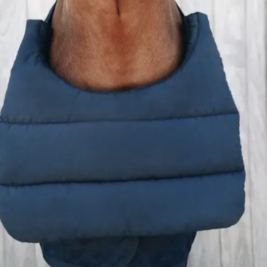kentucky horseweare horsebib summer blue