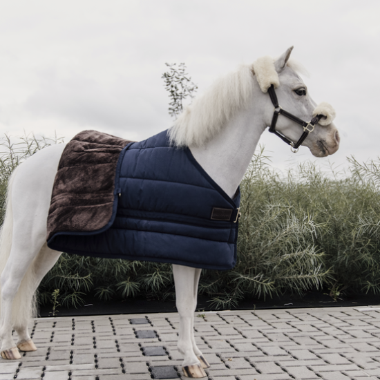 kentucky_pony_skin_friendly