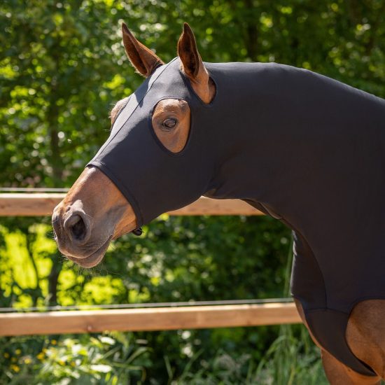 qhp neck protector competition horse